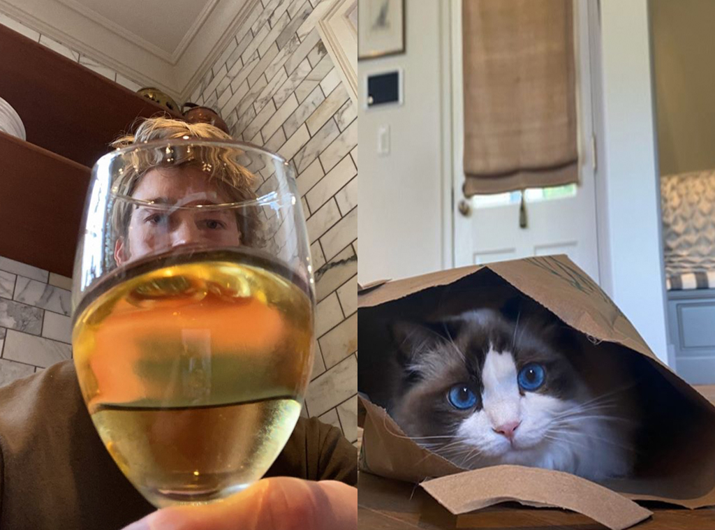 Joe Alwyn S Latest Post Proves He S In Quarantine With Taylor